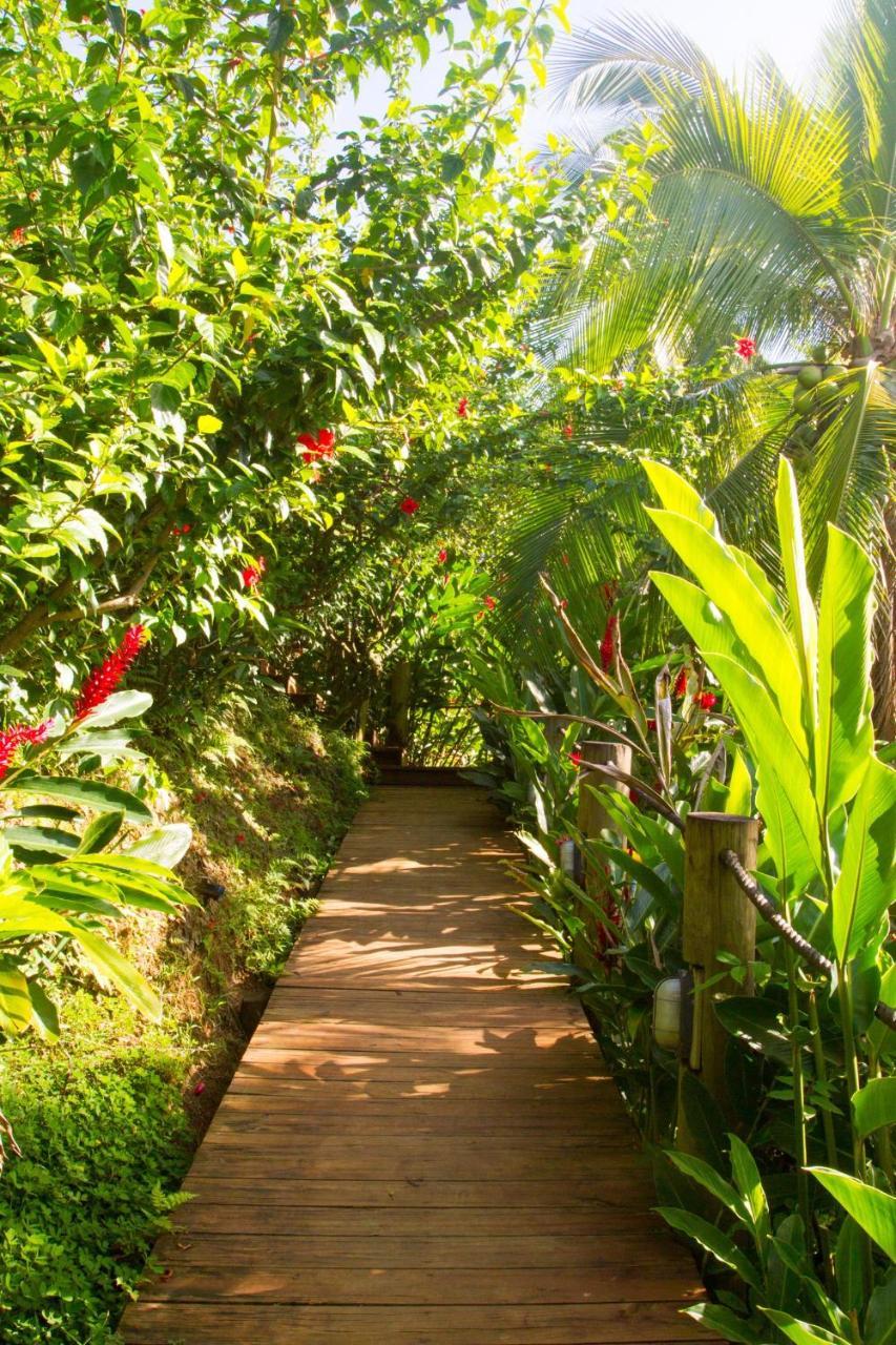 Secretos Bocas del Toro
